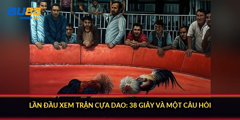Lần đầu xem trận cựa dao: 38 giây và một câu hỏi