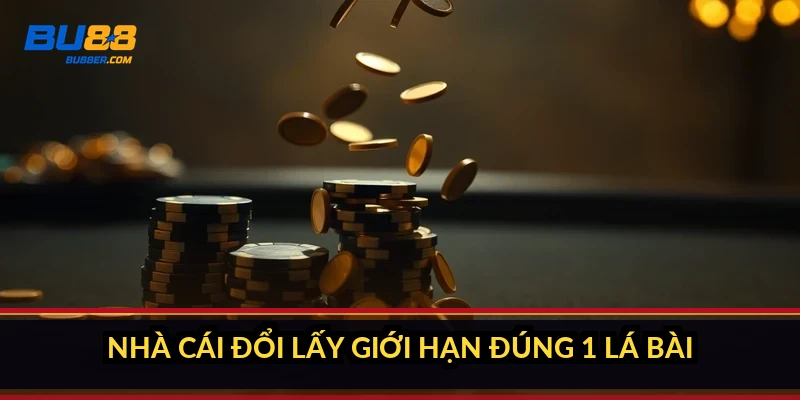 Nhà cái đổi lấy giới hạn đúng 1 lá bài