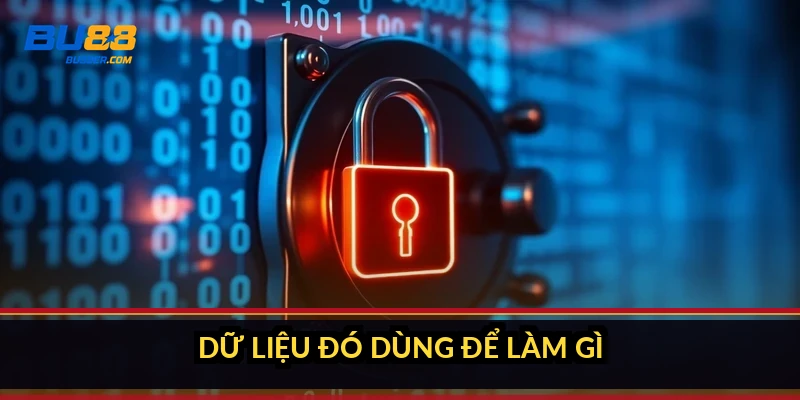 Dữ liệu đó dùng để làm gì?