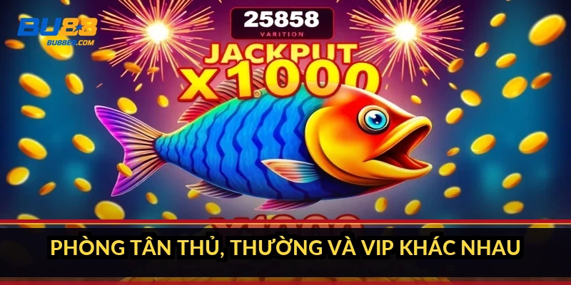 Phòng Tân thủ, Thường và VIP khác nhau thế nào?