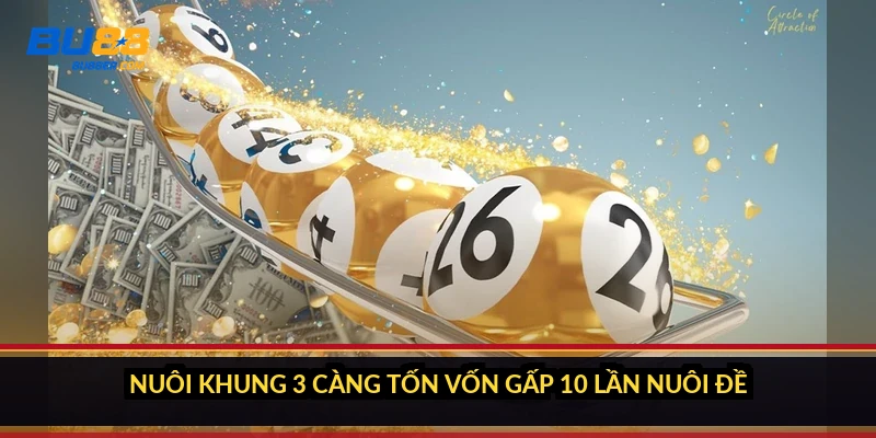 Nuôi khung 3 càng tốn vốn gấp 10 lần nuôi đề