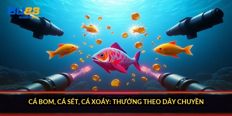 Cá bom, cá sét, cá xoáy: thưởng theo dây chuyền